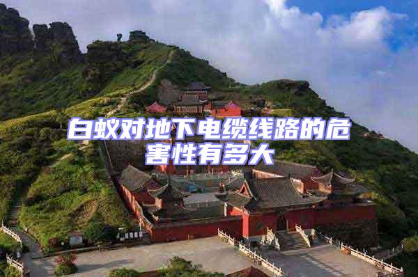 白蟻對地下電纜線路的危害性有多大