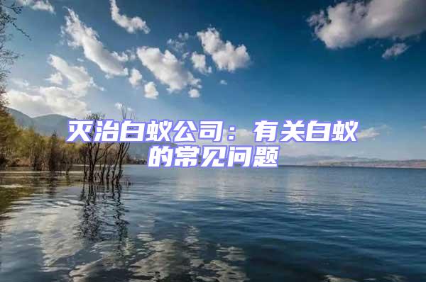 滅治白蟻公司：有關白蟻的常見問題