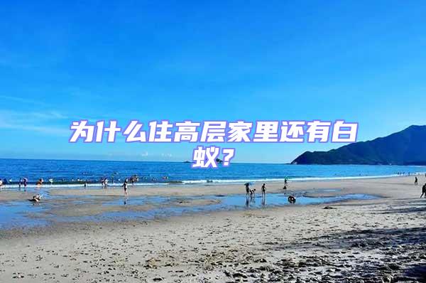 為什么住高層家里還有白蟻？