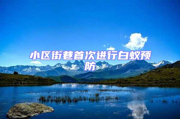 小區街巷首次進行白蟻預防
