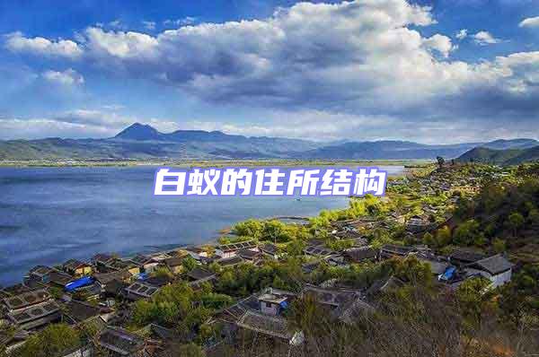 白蟻的住所結構