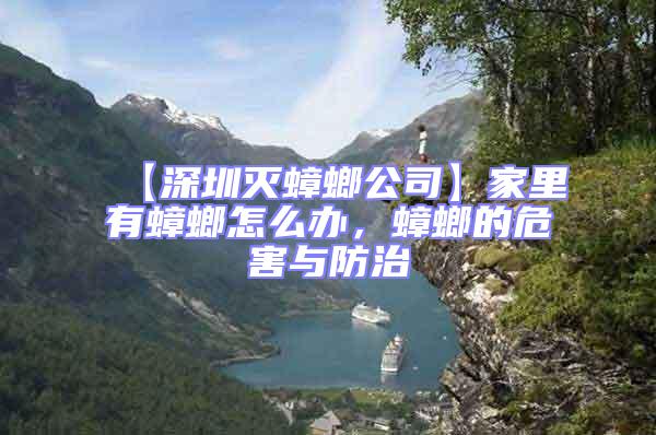 【深圳滅蟑螂公司】家里有蟑螂怎么辦，蟑螂的危害與防治