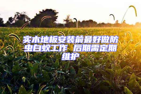 實(shí)木地板安裝前最好做防蟲白蟻工作 后期需定期維護(hù)