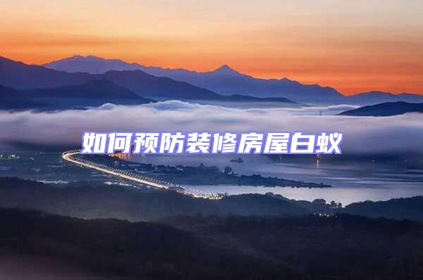 如何預防裝修房屋白蟻