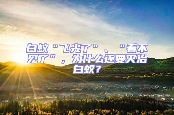 白蟻“飛光了”、“看不見(jiàn)了”，為什么還要滅治白蟻？