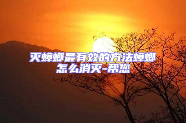 滅蟑螂最有效的方法蟑螂怎么消滅-幫您