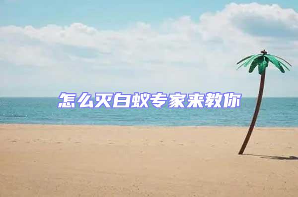 怎么滅白蟻專家來教你