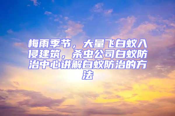 梅雨季節(jié)，大量飛白蟻入侵建筑，殺蟲公司白蟻防治中心講解白蟻防治的方法