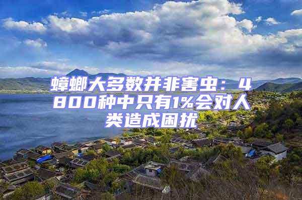 蟑螂大多數并非害蟲：4800種中只有1%會對人類造成困擾