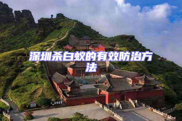 深圳殺白蟻的有效防治方法