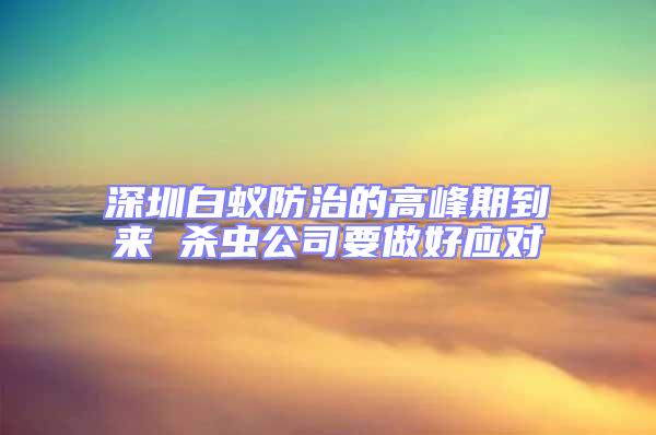 深圳白蟻防治的高峰期到來(lái) 殺蟲公司要做好應(yīng)對(duì)