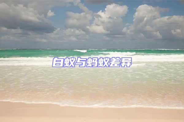 白蟻與螞蟻差異