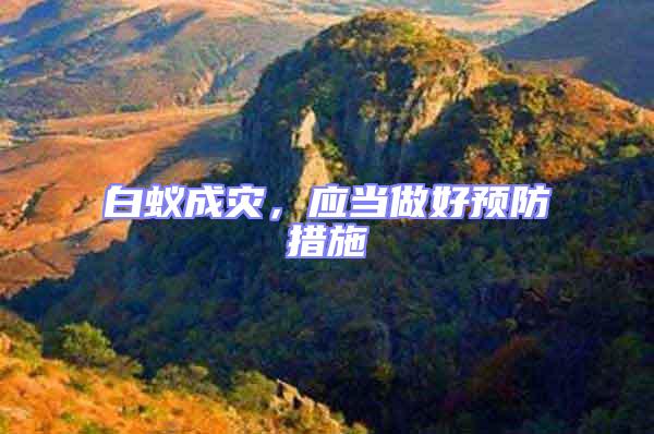 白蟻成災，應當做好預防措施