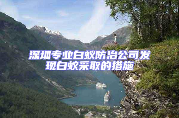 深圳專業白蟻防治公司發現白蟻采取的措施