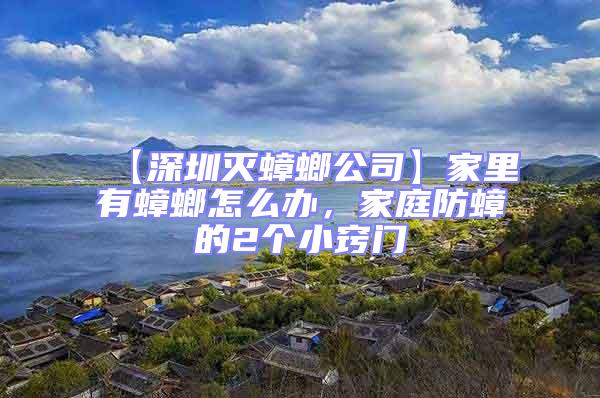 【深圳滅蟑螂公司】家里有蟑螂怎么辦，家庭防蟑的2個小竅門