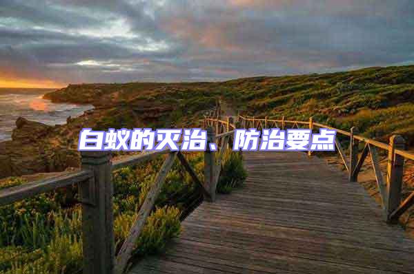 白蟻的滅治、防治要點