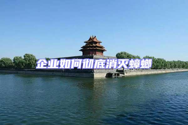企業如何徹底消滅蟑螂