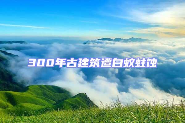 300年古建筑遭白蟻蛀蝕