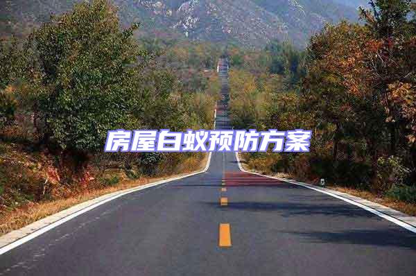 房屋白蟻預防方案