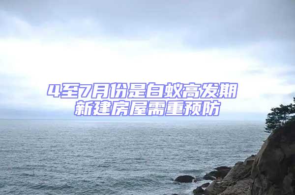 4至7月份是白蟻高發期 新建房屋需重預防