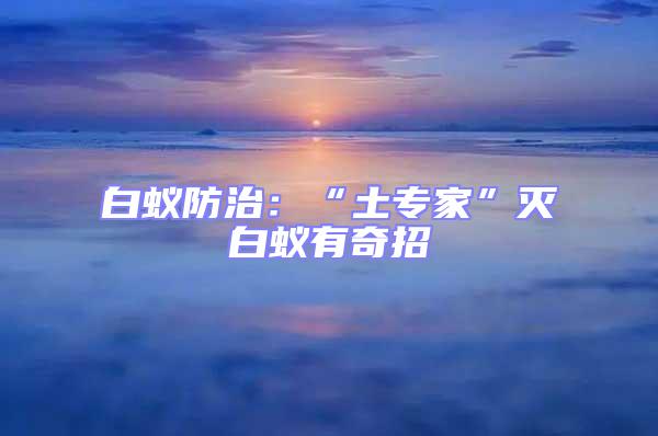 白蟻防治：“土專家”滅白蟻有奇招
