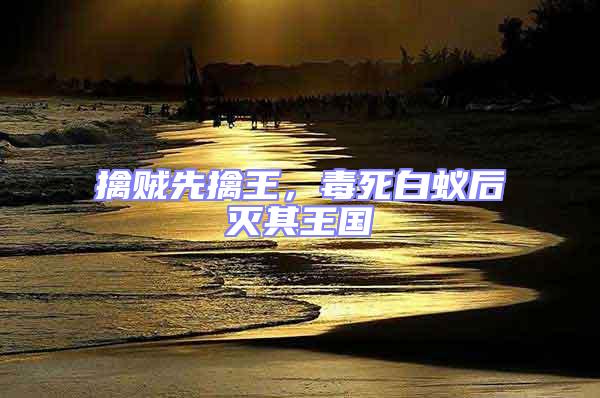 擒賊先擒王，毒死白蟻后滅其王國