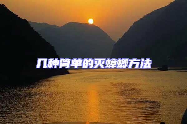 幾種簡單的滅蟑螂方法