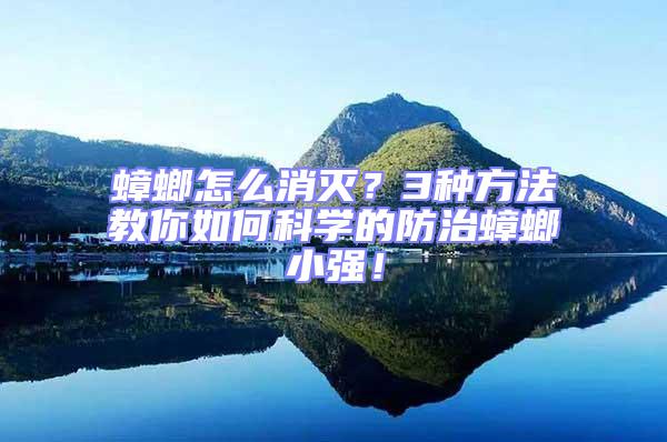 蟑螂怎么消滅？3種方法教你如何科學的防治蟑螂小強！