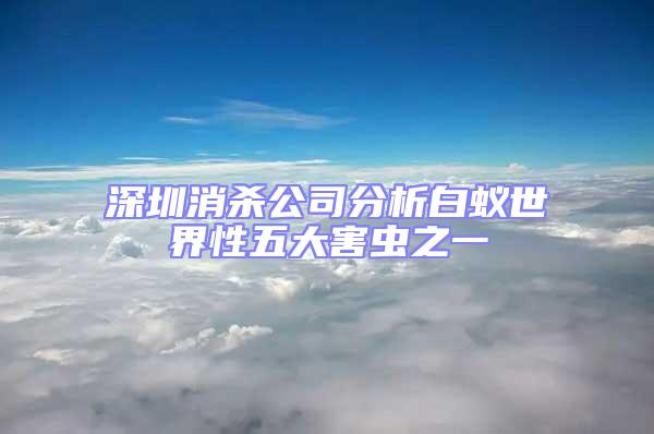 深圳消殺公司分析白蟻世界性五大害蟲之一
