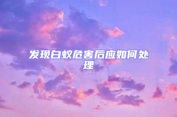 發(fā)現(xiàn)白蟻危害后應(yīng)如何處理