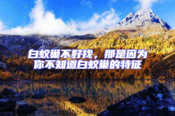 白蟻巢不好找，那是因?yàn)槟悴恢腊紫伋驳奶卣?/></p>
									<p style=