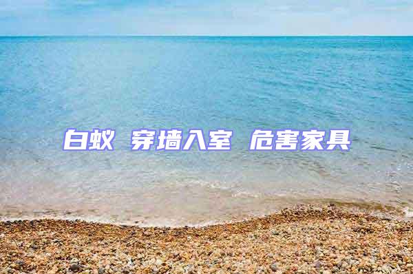 白蟻 穿墻入室 危害家具