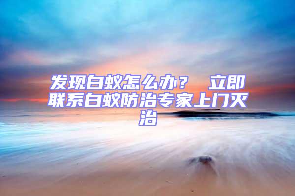 發現白蟻怎么辦？ 立即聯系白蟻防治專家上門滅治