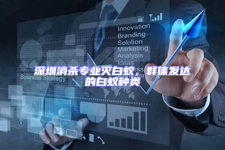 深圳消殺專業(yè)滅白蟻，群體發(fā)達(dá)的白蟻種類