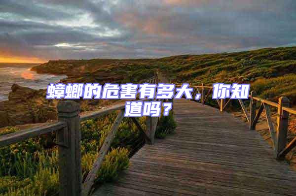 蟑螂的危害有多大，你知道嗎？