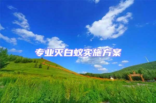 專業滅白蟻實施方案