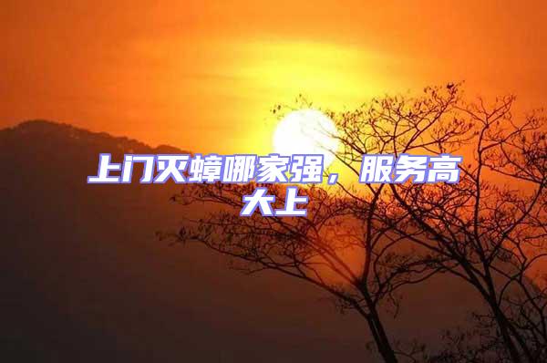 上門滅蟑哪家強，服務(wù)高大上