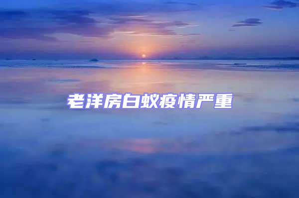 老洋房白蟻疫情嚴重
