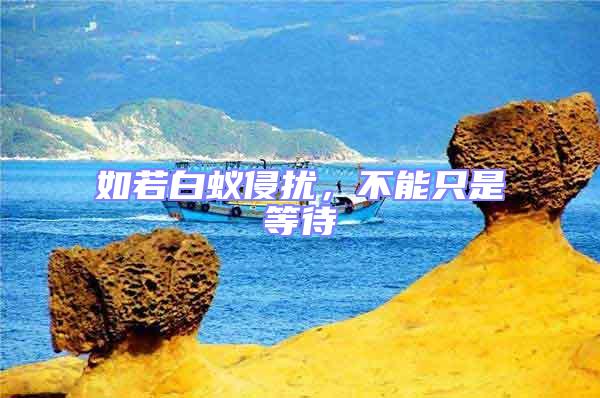 如若白蟻侵擾，不能只是等待