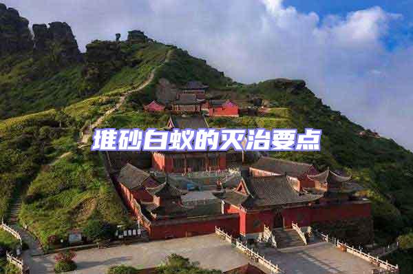 堆砂白蟻的滅治要點