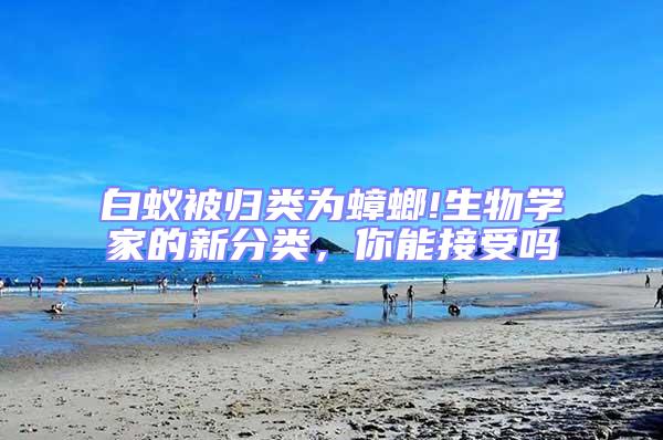 白蟻被歸類為蟑螂!生物學家的新分類，你能接受嗎