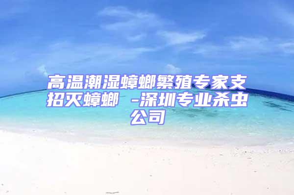 高溫潮濕蟑螂繁殖專家支招滅蟑螂 -深圳專業殺蟲公司