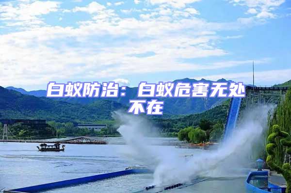 白蟻防治：白蟻危害無處不在