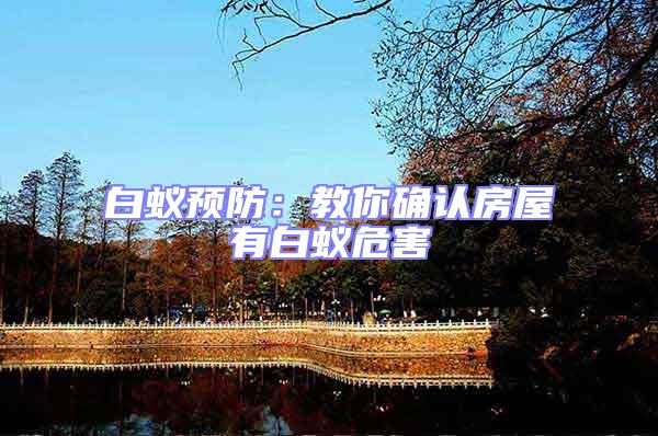 白蟻預防：教你確認房屋有白蟻危害