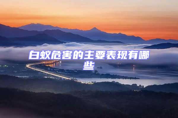 白蟻危害的主要表現有哪些