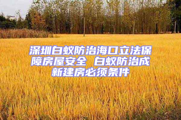深圳白蟻防治海口立法保障房屋安全 白蟻防治成新建房必須條件