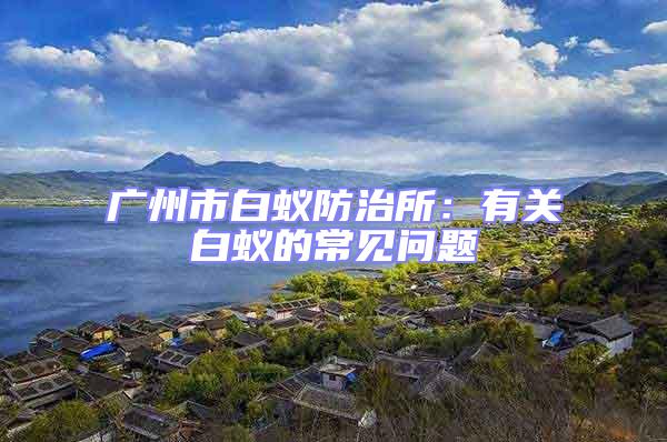 廣州市白蟻防治所：有關(guān)白蟻的常見問題
