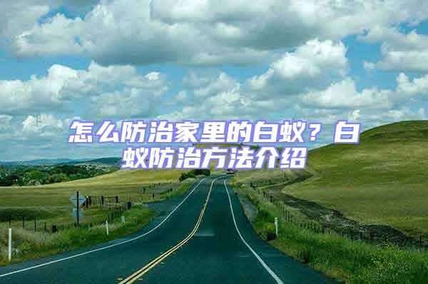 怎么防治家里的白蟻？白蟻防治方法介紹