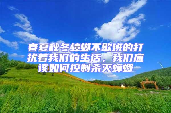 春夏秋冬蟑螂不歇班的打擾著我們的生活，我們應該如何控制殺滅蟑螂