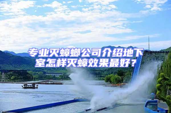 專業(yè)滅蟑螂公司介紹地下室怎樣滅蟑效果最好？